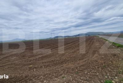 Teren de 18000 mp, în Hărman