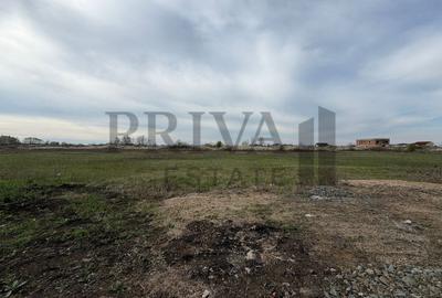 Teren Construcții intravilan de 838 mp, în Moșnița Veche - 1