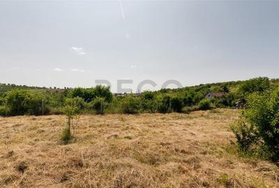 Teren de 1200 mp, în Paleu - 6