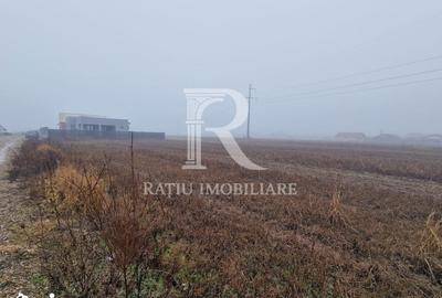 Teren de 510 mp, în Central - 4