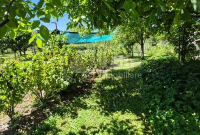 Casă individuală cu 2 camere cu Teren 2382 Mp în Aiton - 11