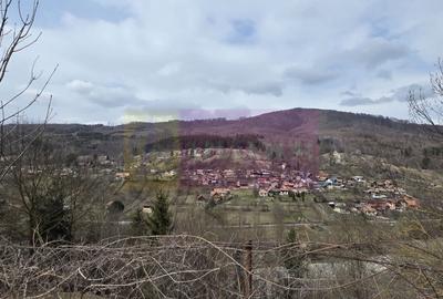 Teren Construcții intravilan de 2500 mp, în Valea Doftanei - 10