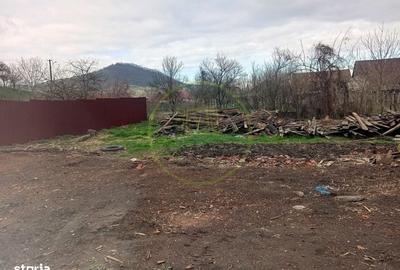 Casă cu 2 camere în Târnava