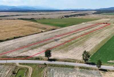 Teren agricol extravilan de 16661 mp, în Satu Nou