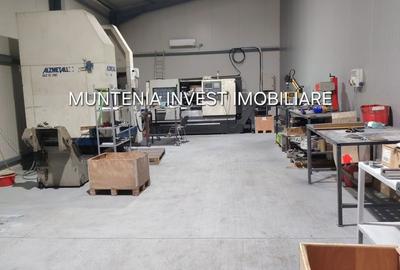 Spațiu comercial, de 480 mp, în Ștefănești - 6