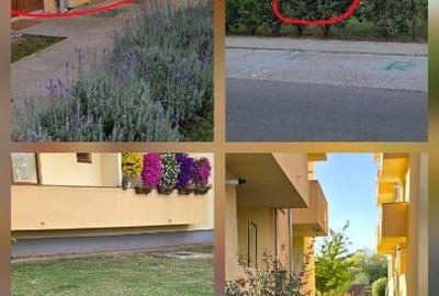 Apartament cu 3 camere decomandat, mobilat în Nord