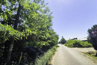 Teren de 1262 mp, în Hințești