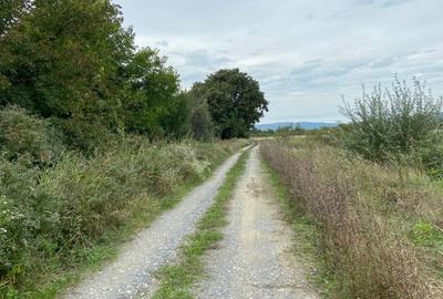 Teren agricol extravilan de 2950 mp, în Măcești - 6