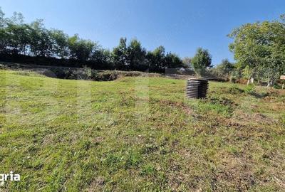 Casă cu 1 camere cu Teren 1618 Mp în Mihai Viteazu