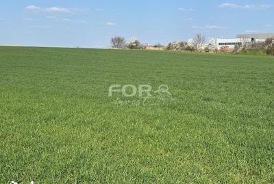 Teren de 1000 mp, în Calea Aradului - 2