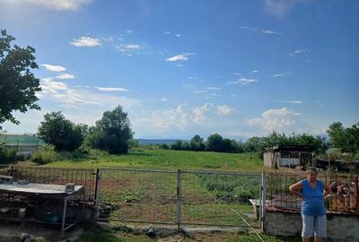 Casă cu Teren 5200 Mp în Central - 5