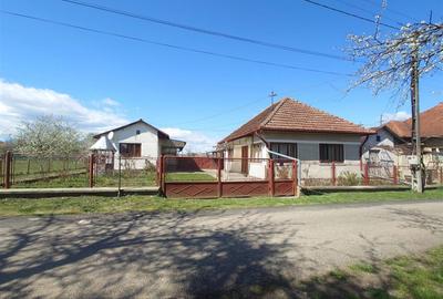 Casă individuală cu 4 camere cu Teren 3892 Mp în Baia de Criș