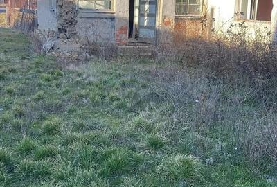 Teren de 2881 mp, în Ciuperceni - 3