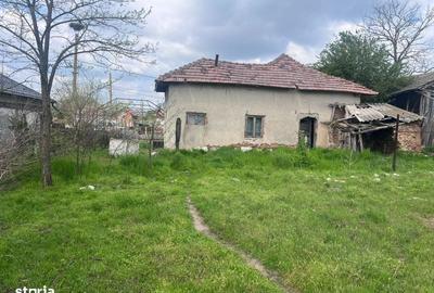 Casă cu 3 camere cu Teren 2504 Mp în Teasc - 7