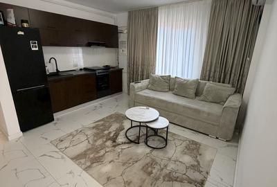 Apartament cu 2 camere în Roșu
