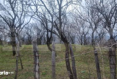 Teren de 3781 mp, în Izvoarele - 13