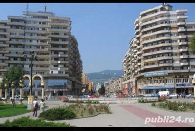 Apartament cu 2 camere decomandat, mobilat în Cetate - 2