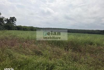 Spațiu comercial, în Ciolpani - 3