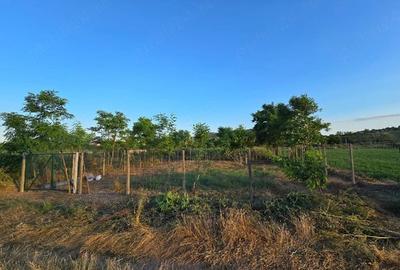 Teren de 400 mp, în Victoria