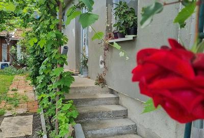 Casă cu Teren 1200 Mp în Central - 10