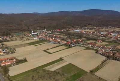 Teren de 2970 mp, în Odvoș - 14
