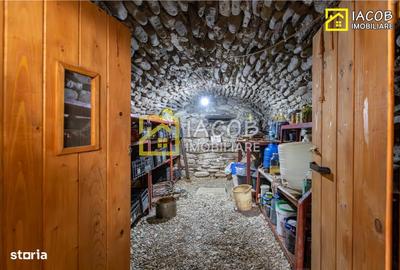 Casă cu 4 camere decomandat cu Teren 3762 Mp în Coman - 8