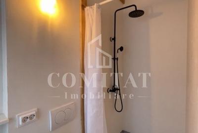 Spațiu comercial, de 234 mp, în Ultracentral - 11
