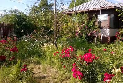 Casă cu 3 camere cu Teren 1020 Mp în Stănești