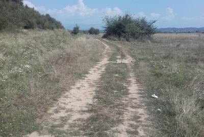 Teren Construcții extravilan de 3500 mp, în Bălești - 6