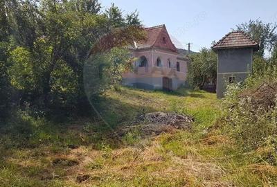 Casă cu Teren 2140 Mp în Delenii