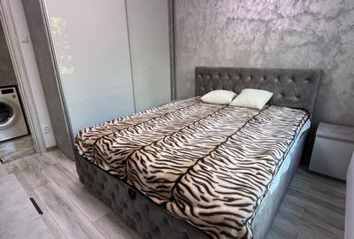 Apartament cu 2 camere decomandat în Drumul Taberei - 7
