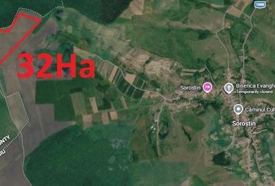 Teren de 320000 mp, în Șeica Mică