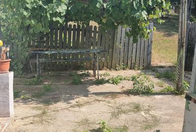 Casă individuală cu 2 camere cu Teren 3800 Mp în Berislăvești - 6