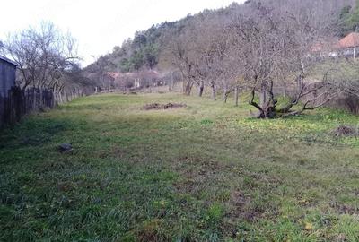 Casă cu 3 camere cu Teren 1500 Mp în Morlaca - 10