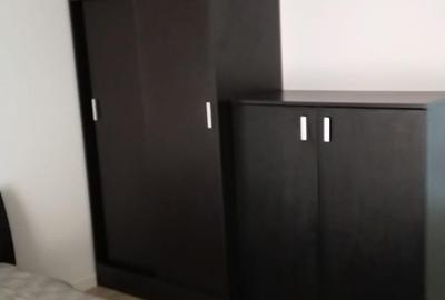 Apartament cu 2 camere decomandat în Pantelimon - 4
