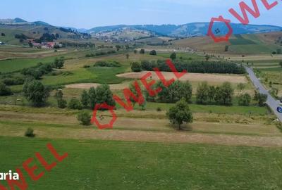 Teren de 2400 mp, în Barcani