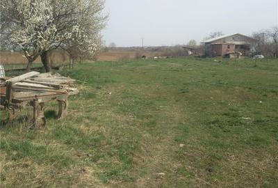 Teren de 1000 mp, în Parța - 1