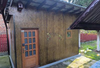 Casă cu 3 camere cu Teren 2100 Mp în Central