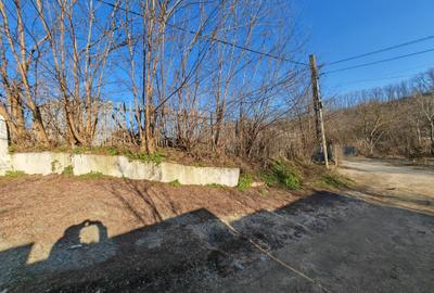 Teren Construcții intravilan de 664 mp, în Hemeiuș - 6