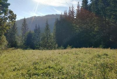 Teren de 3800 mp, în Capu Corbului - 2