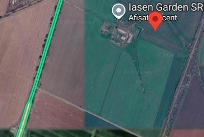 Teren de 38000 mp, în Sud - 1