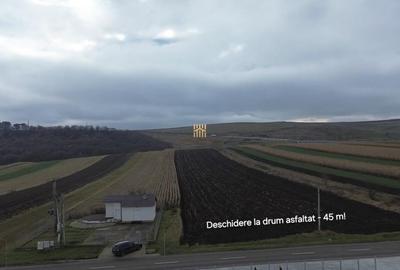 Teren de 14066 mp, în Mihoveni - 3