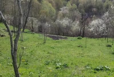 Teren de 1602 mp, în Lapoș