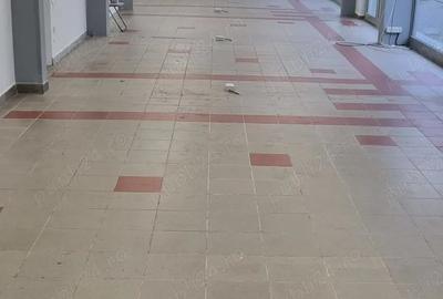 Spațiu comercial, de 550 mp, în Drumul Taberei - 1