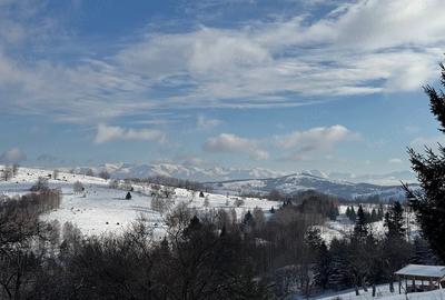Casă cu Teren 1402 Mp în Gărâna - 1