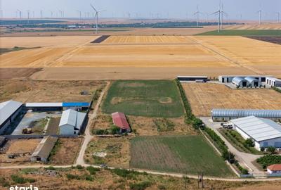 Teren de 29560 mp, în Cogealac