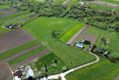Teren de 28000 mp, în Horodnic - 6