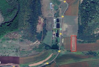 Teren de 7000 mp, în Hoghilag - 1