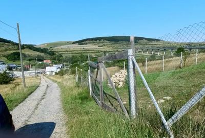 Teren de 1000 mp, în Central - 3