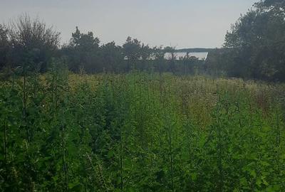 Casă cu 2 camere cu Teren 1000 Mp în Husasău de Tinca - 2